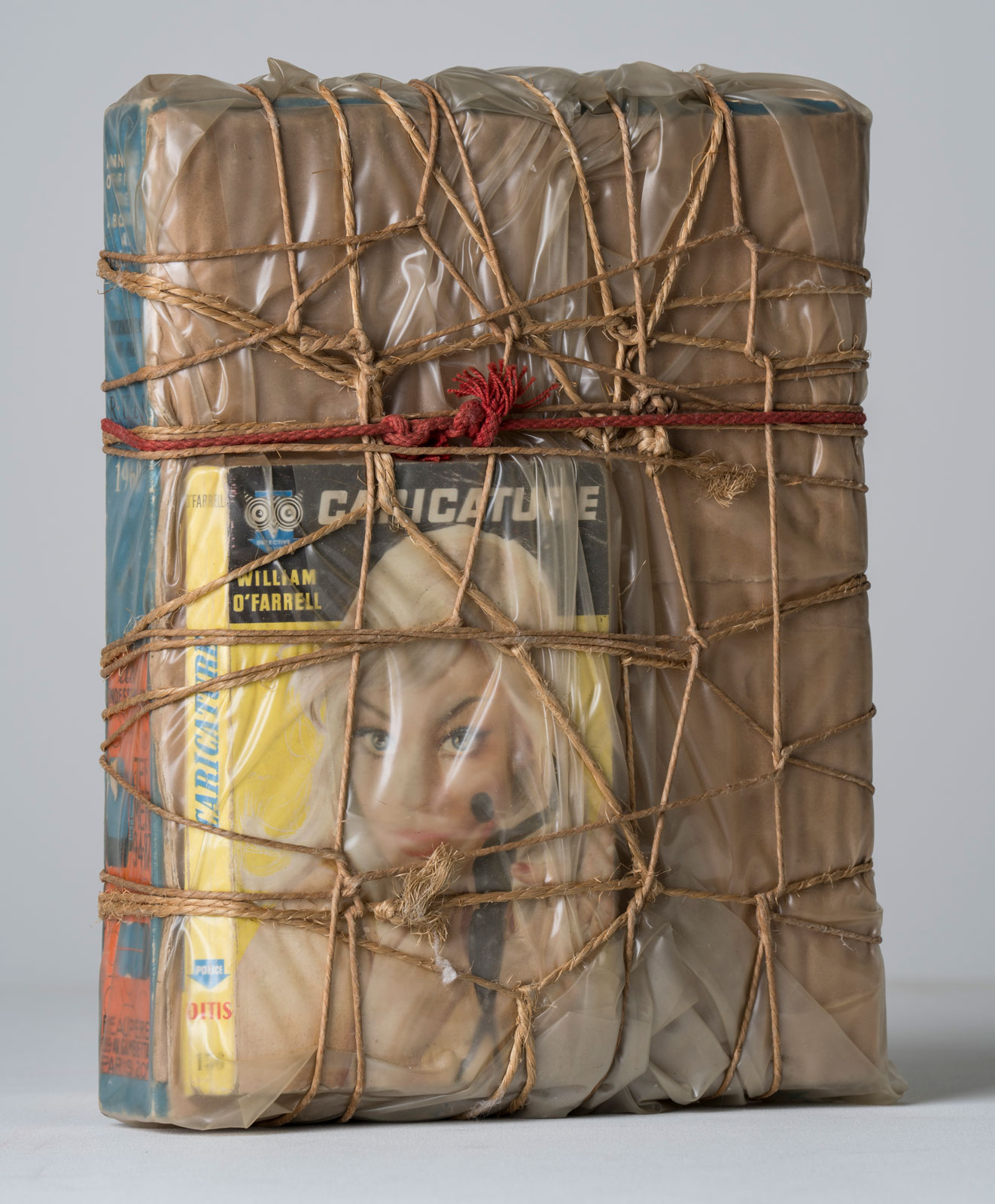 067_wrapped_books